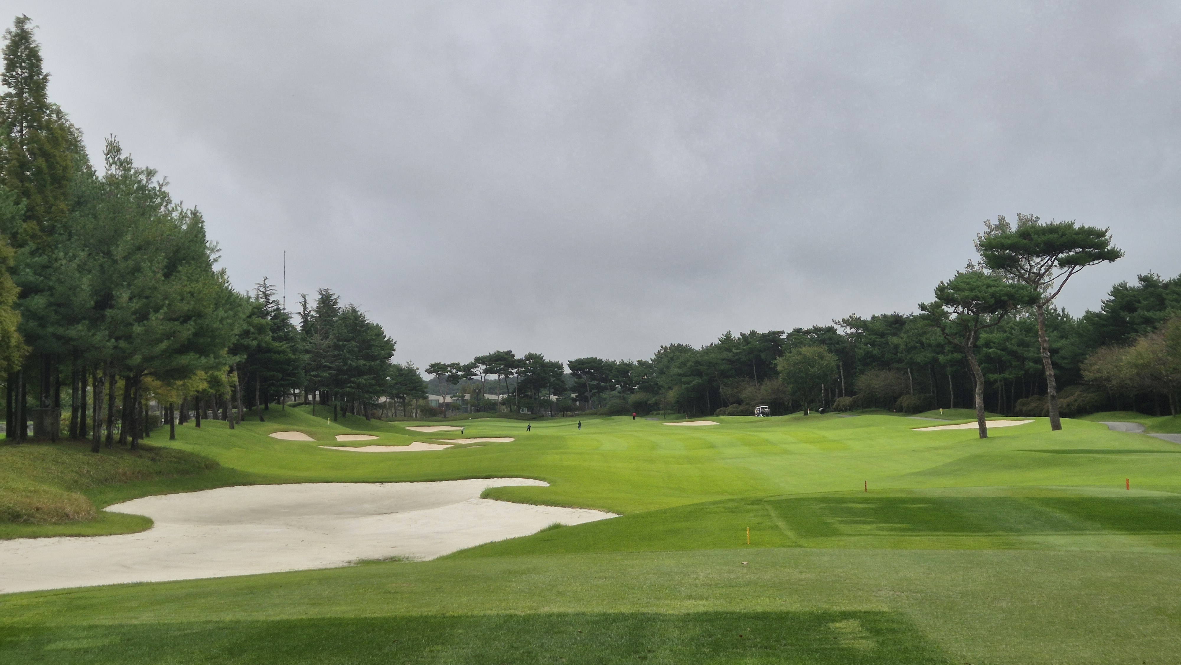 파인스톤cc 스톤 코스