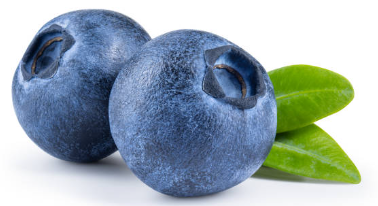블루베리