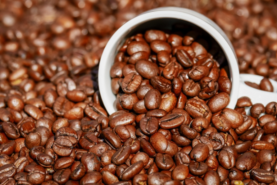 카페인은 성장에 영향을 준다? - 과학적으로 근거 부족