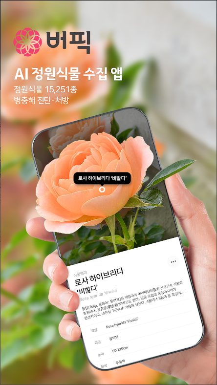 식물이름 찾기 어플, 식물이름 AI 찾기, 병충해 진단, 식물 수집 하기, 버픽