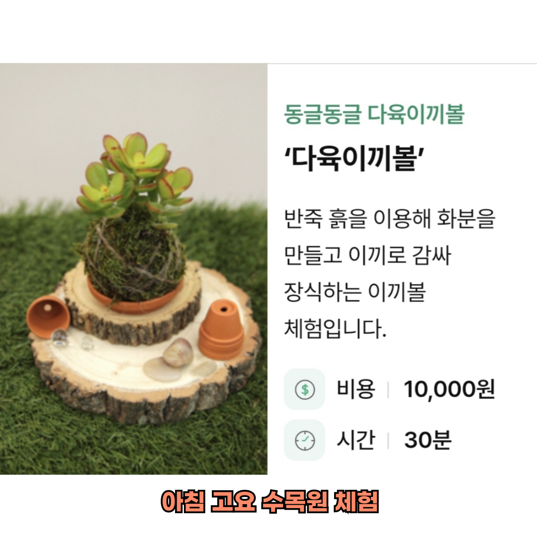 아침고요수목원 체험