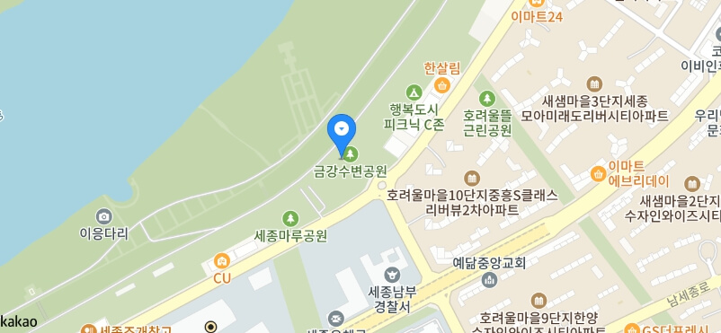 세종시 빛축제