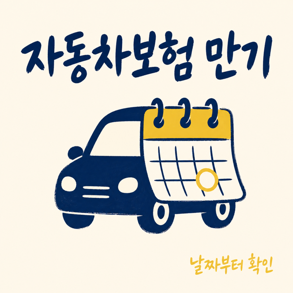 자동차보험 만기확인과 과태료 대표 이미지