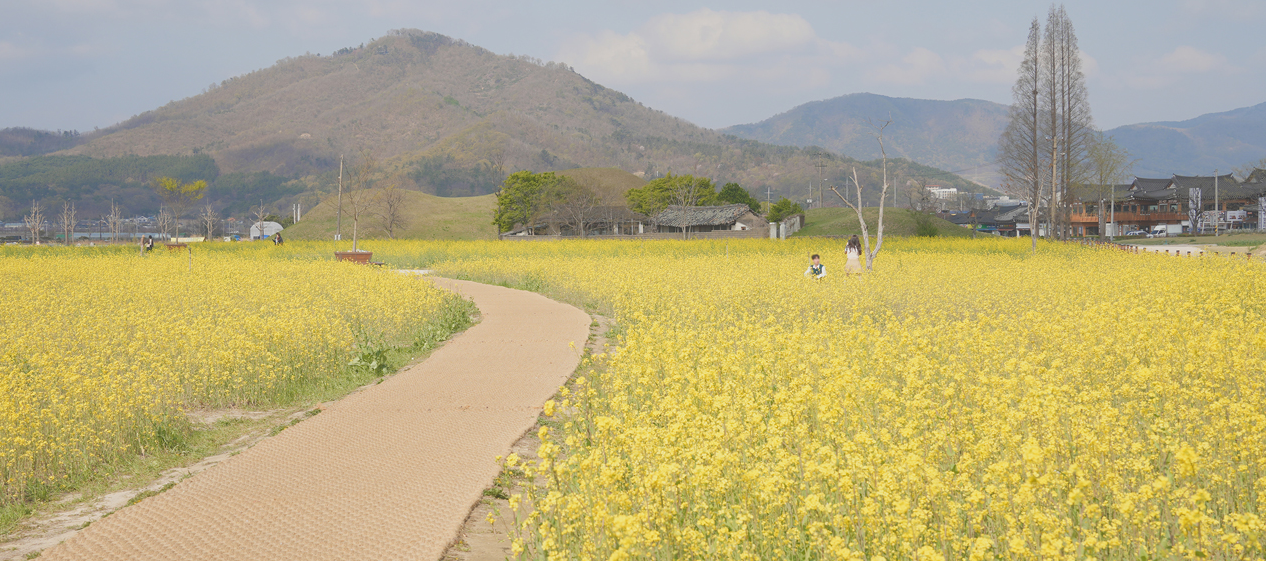 경주 가볼만한곳 베스트10 여행지