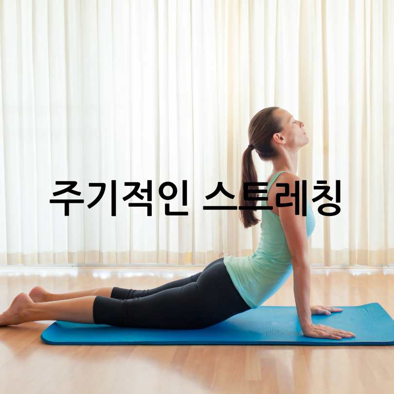 명절후다이어트