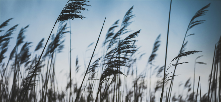 갑인일주 을묘일주 궁합