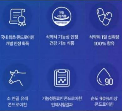 콘드로이친1200mg