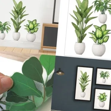 화분 여행 전 관리 급수준비 조명타이머 통풍점검 안심외출 체크_4