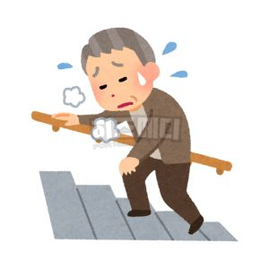 빈혈 증상 원인