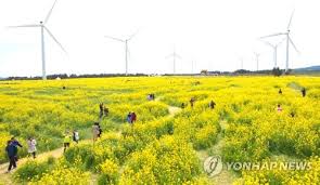 4월 제주도 가볼만한 곳 10곳