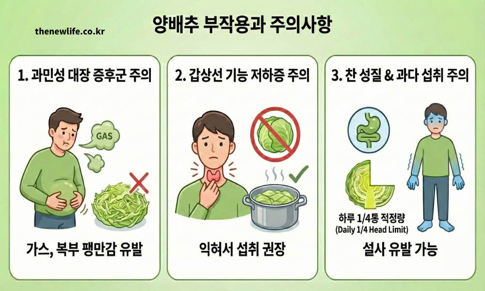양배추 부작용