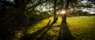 청년도약계좌 은행별 금리