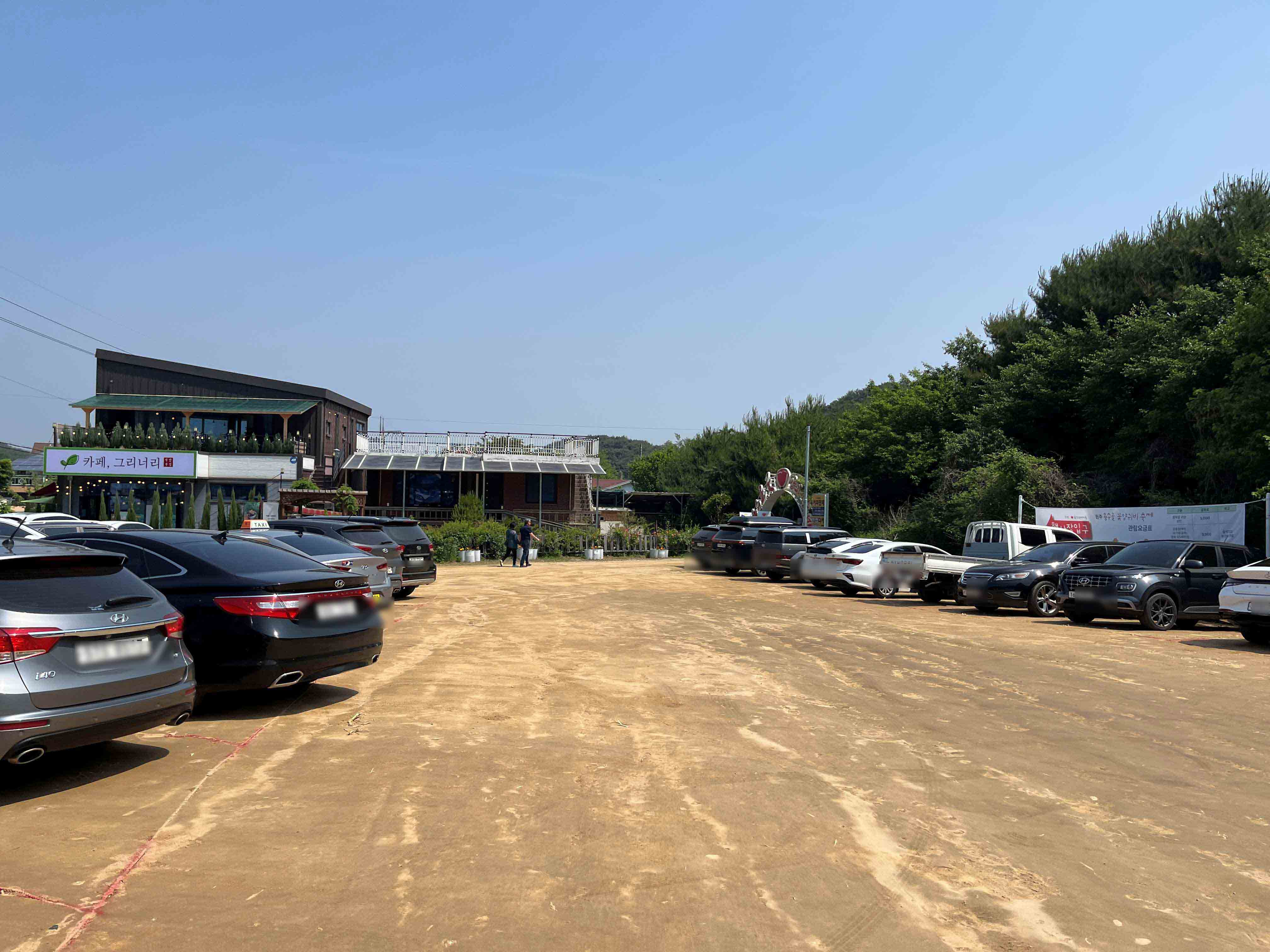 용수골 꽃양귀비 축제 