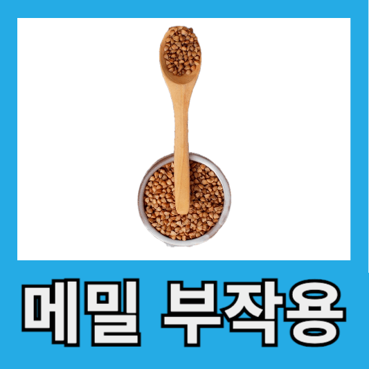 메밀 부작용