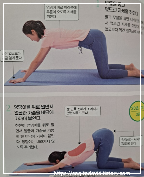 등-스트레칭