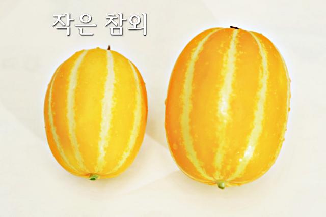 참외 맛있는거 고르기, 참외 크기 작은거 당도, 팁줌