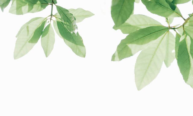 직장인 무료 심리상담