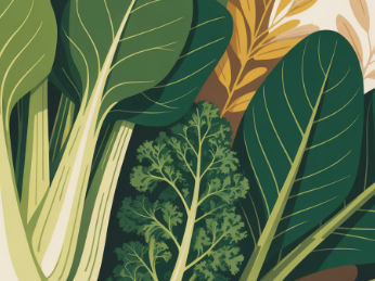 눈이 침침해지는 이유