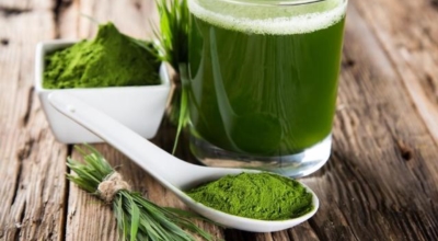 새싹보리이미지