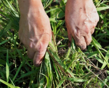 자궁근종 증상과 자궁근종 명의 서울