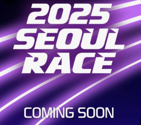 서울레이스 접수 방법&amp;#44; 하프코스 &amp; 11km 코스 완전 가이드