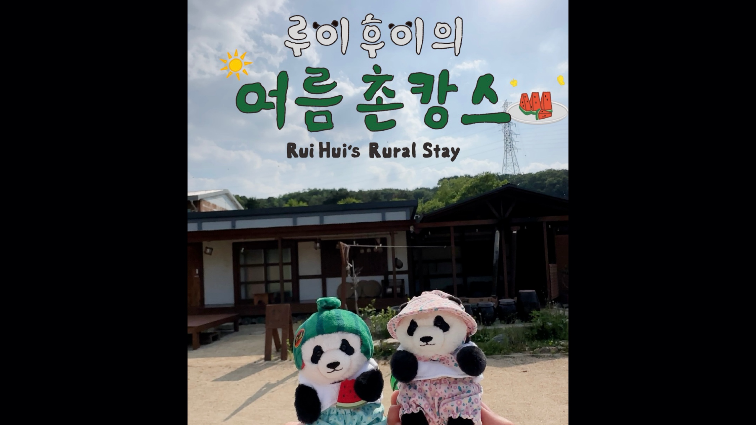 EP.2 루이&후이의 첫 번째 여행지는 어디?｜#shorts #루이후이의대한민국구석구석
