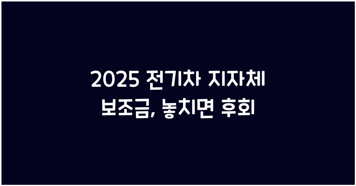 2025 전기차 지자체 보조금