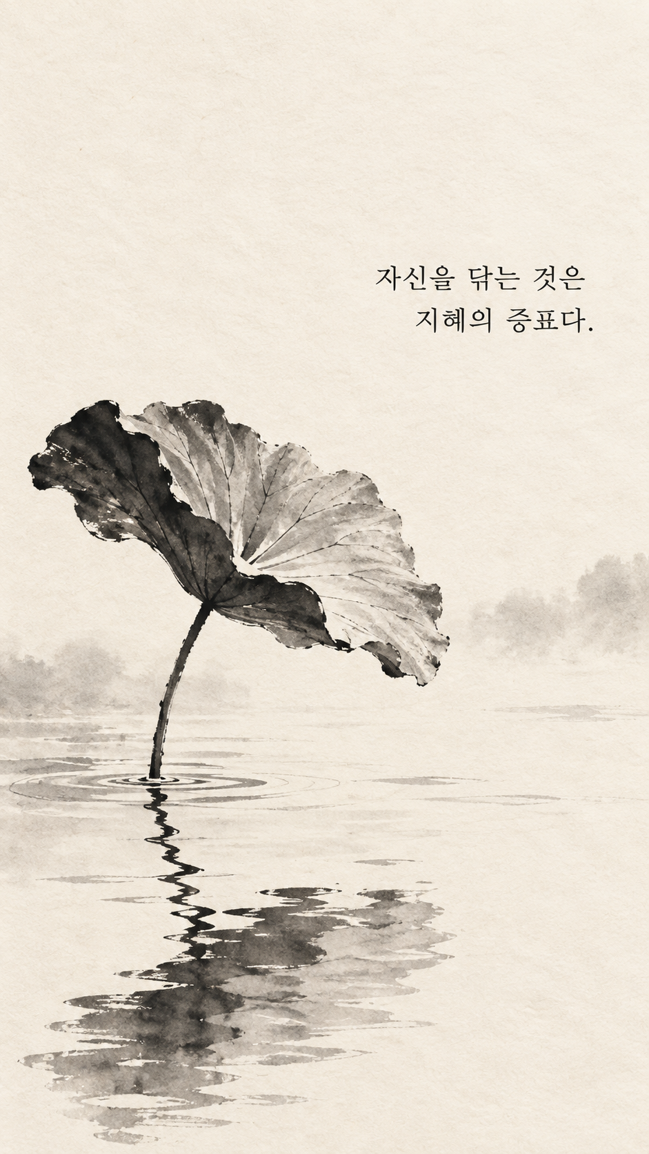 사마천 명언 1 자신을 닦는 것은 지혜의 증표다. 잔잔한 연못의 연잎과 빈 여백 수묵화 이미지