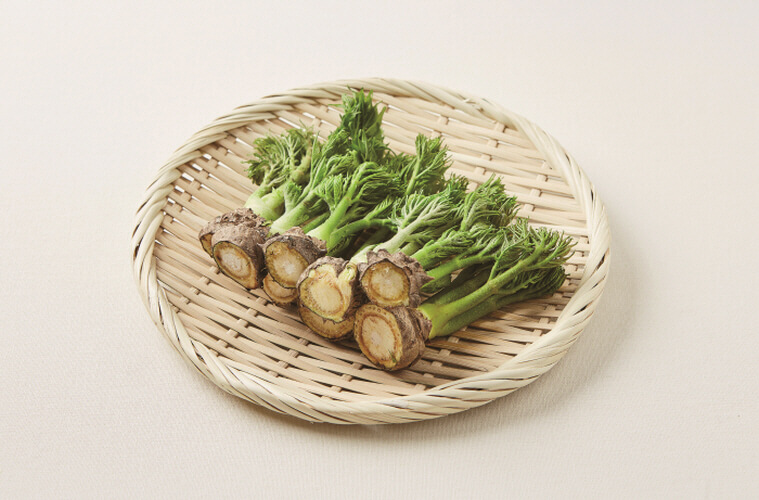 두릅 소고기 말이