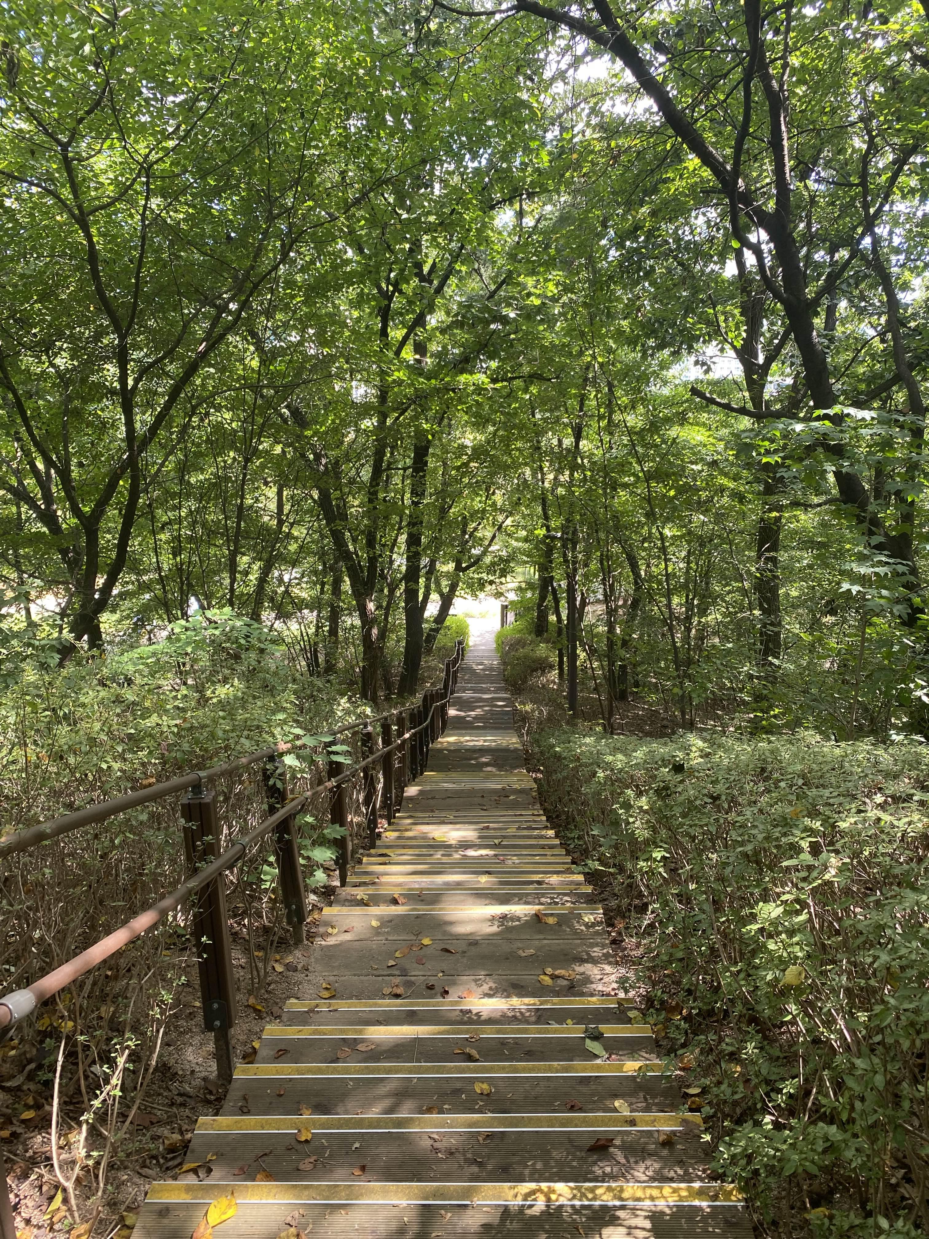 Alt 속성 문제 해결 설명 이미지