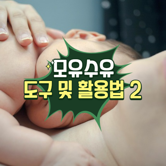 모유수유 도구 및 활용법 2