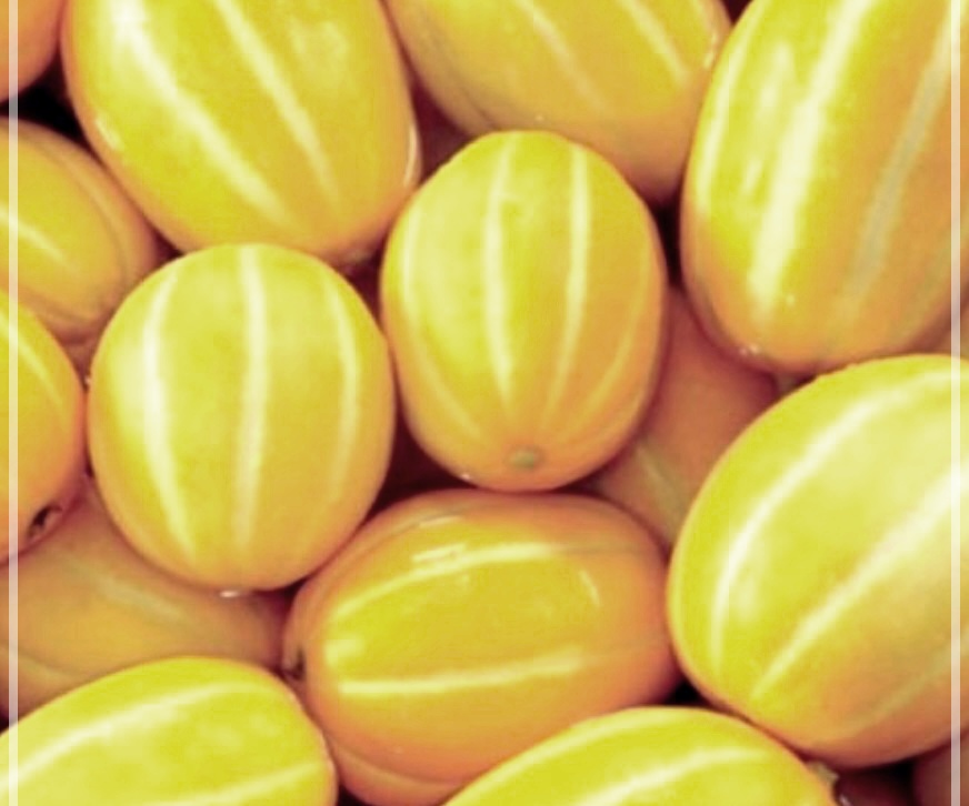 참외 효능, 부작용, 보관법 및 칼로리 총정리