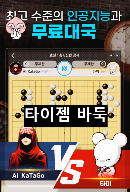 타이젬 바둑 