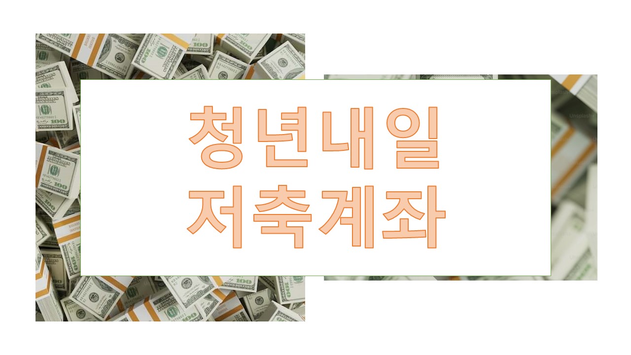 청년내일저축계좌 청년도약계좌 비교분석