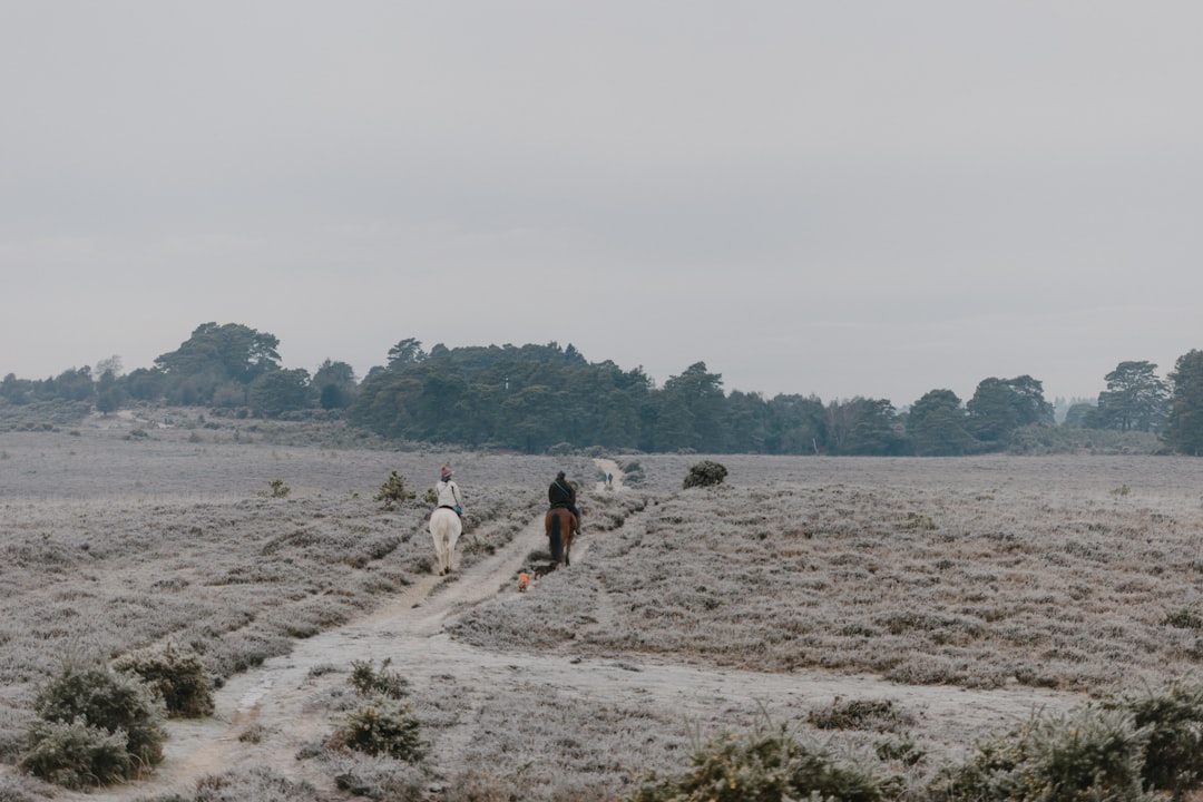 Muted