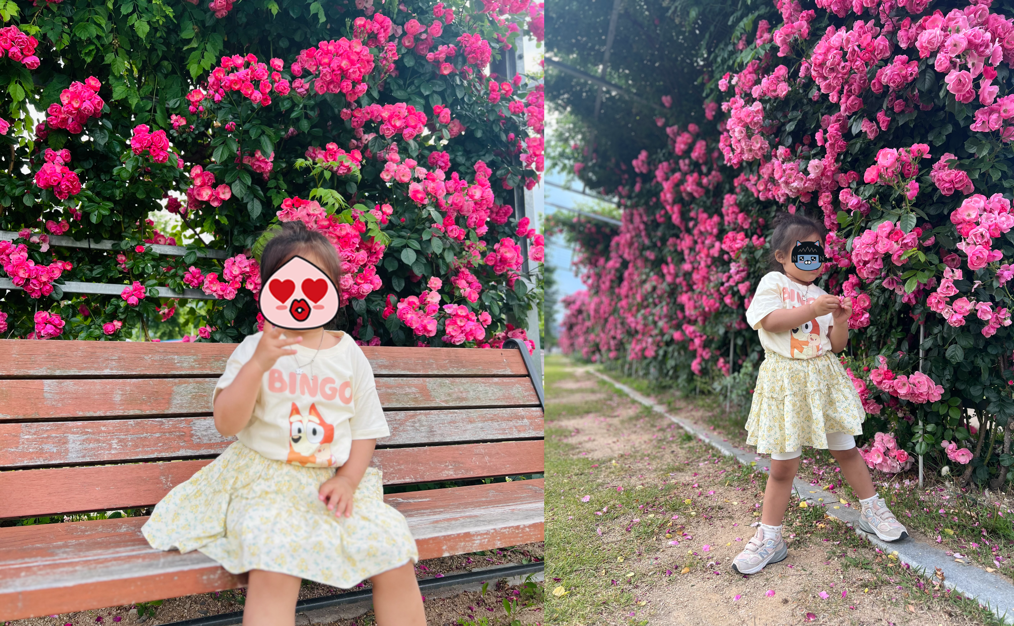 황산공원 장미정원, 장미터널, 장미벤치 , 장미 포토존
"양산 황산공원 장미터널 포토존｜봄 나들이 사진 명소 추천"