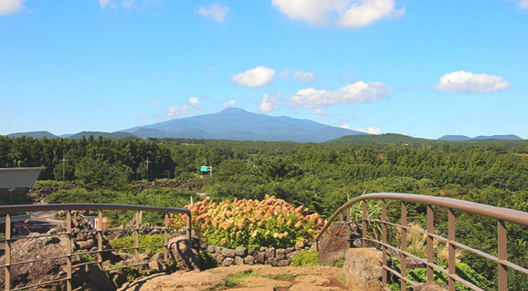 제주 송당동화마을