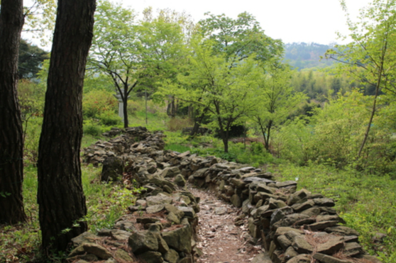 청양 가볼만한곳 베스트10