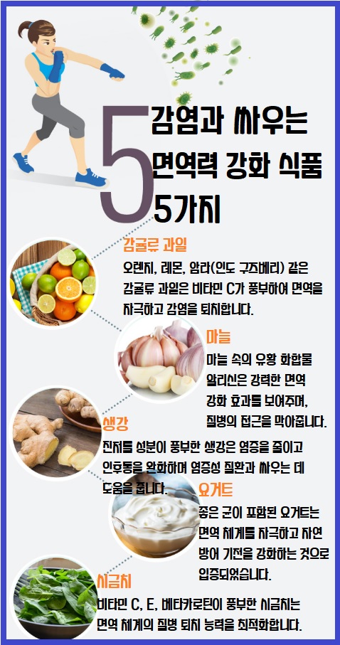 면역력 높이는 식품