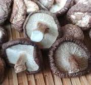 귀에 좋은 음식