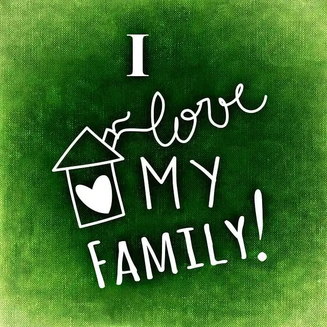 다양한 중성미자 검출기 비교: 효율성과 정확성 분석