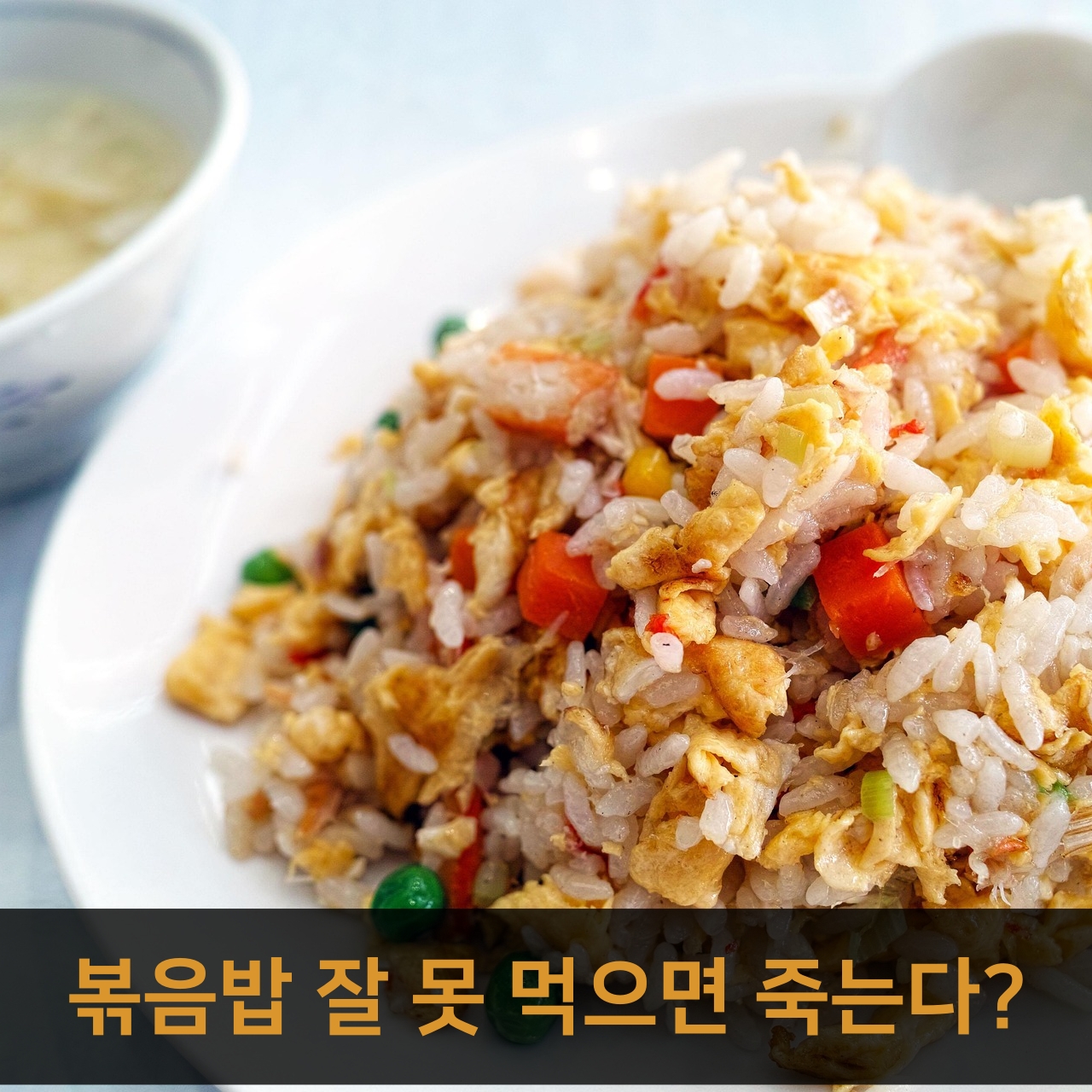 바실러스 세레우스라는 세균에 감염된 음식을 먹고 발생하는 식중독
