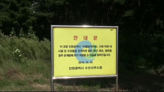 해안 이동 중 마주한 노란 안내문