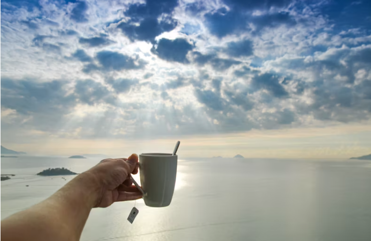 맑은 바다 위로 햇살이 퍼지는 아침, 손에 들린 따뜻한 차 한 잔
