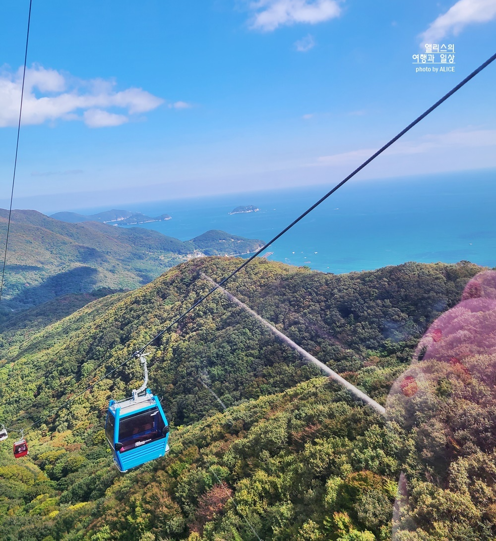 겨울 부산 근교 가볼만한곳 당일치기 추천 BEST 08