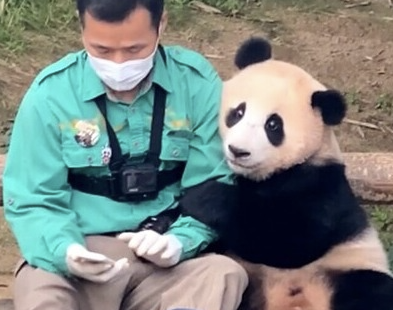 푸바오 할부지 강철원 사육사의 성장 배경, 경력, 방송 활동 및 저서 소개