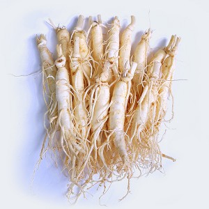 인삼 관련 사진