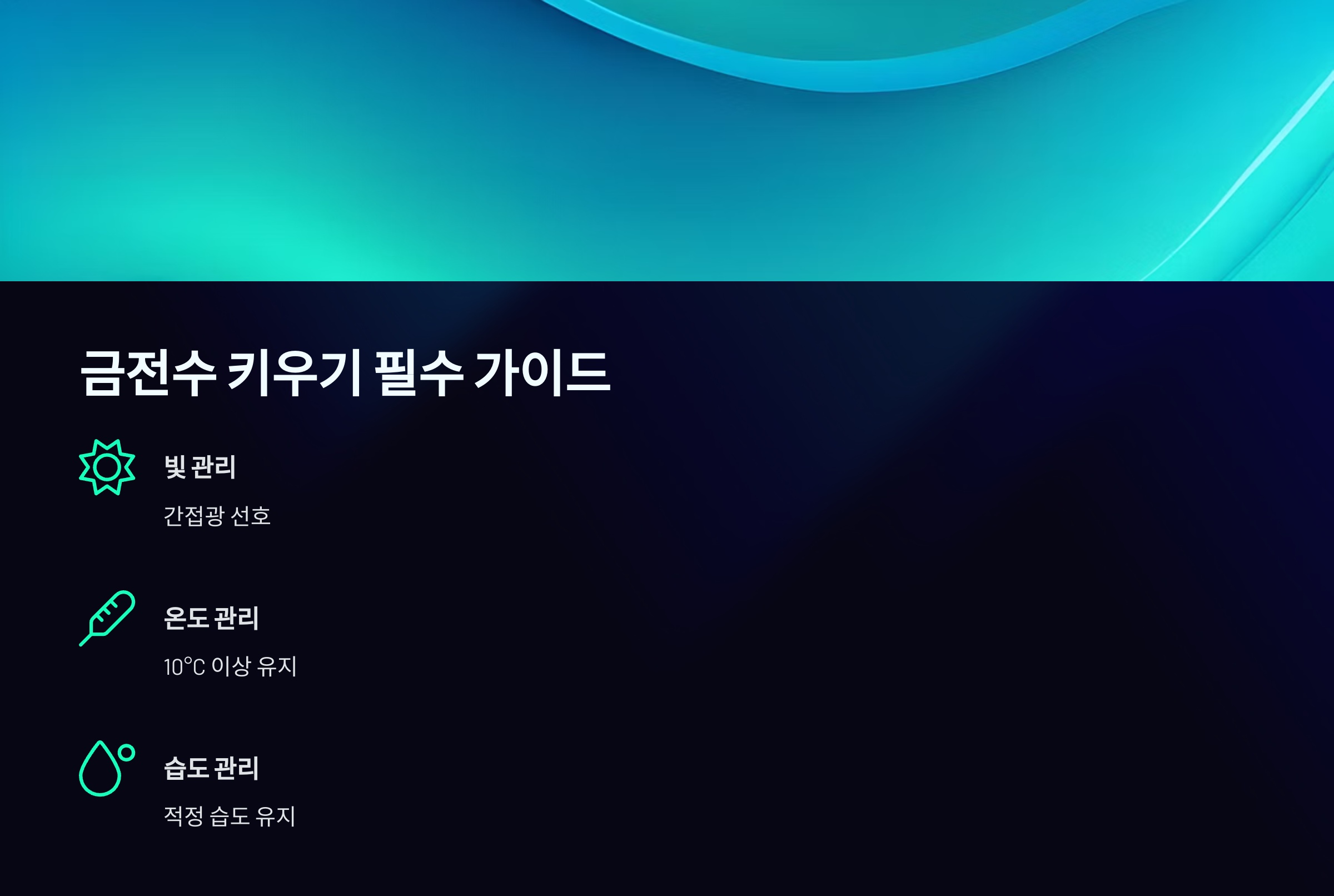 금전수 키우기 필수 가이드
