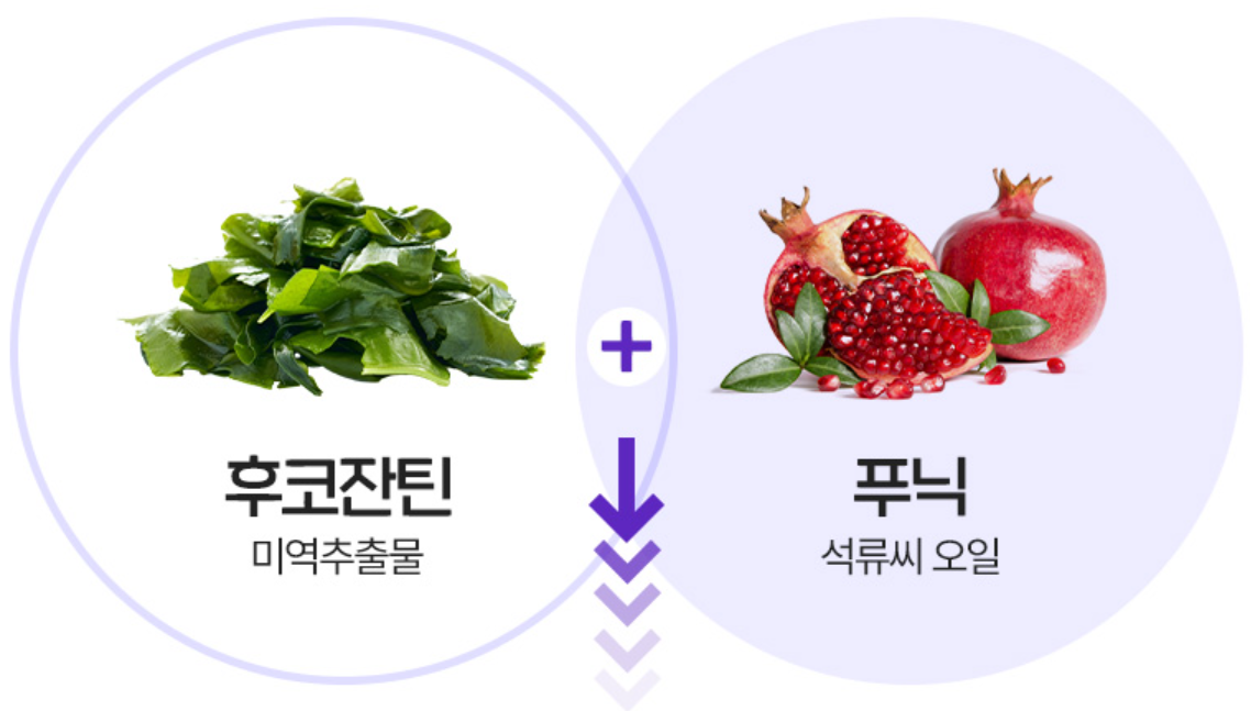 푸응 나이트버닝 프로