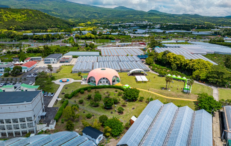 025 제주 감귤박람회 일정·입장료·체험 총정리 관련 사진